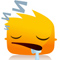 Sleeping Face Sleeping Face